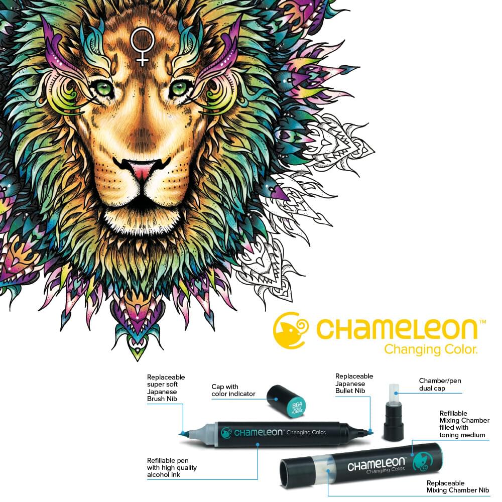Chameleon Markers Pens Adult Coloring Books, Bible Journaling, Planer,  Diary, Drawing, Sketching Markers Primary Tones, 5 Pens 